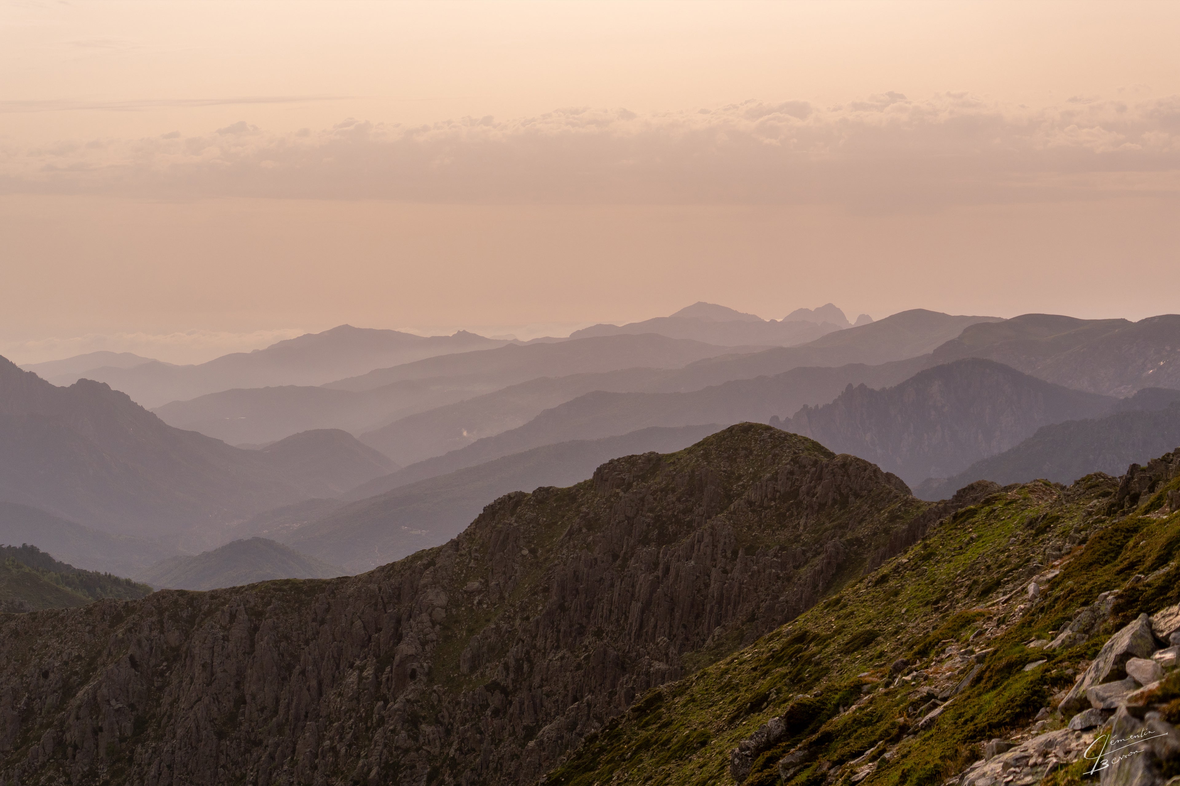 WILD - SÉRIE NATURE  60×40 CM