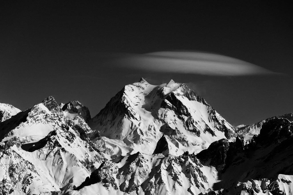 WILD - SÉRIE NATURE  60×40 CM