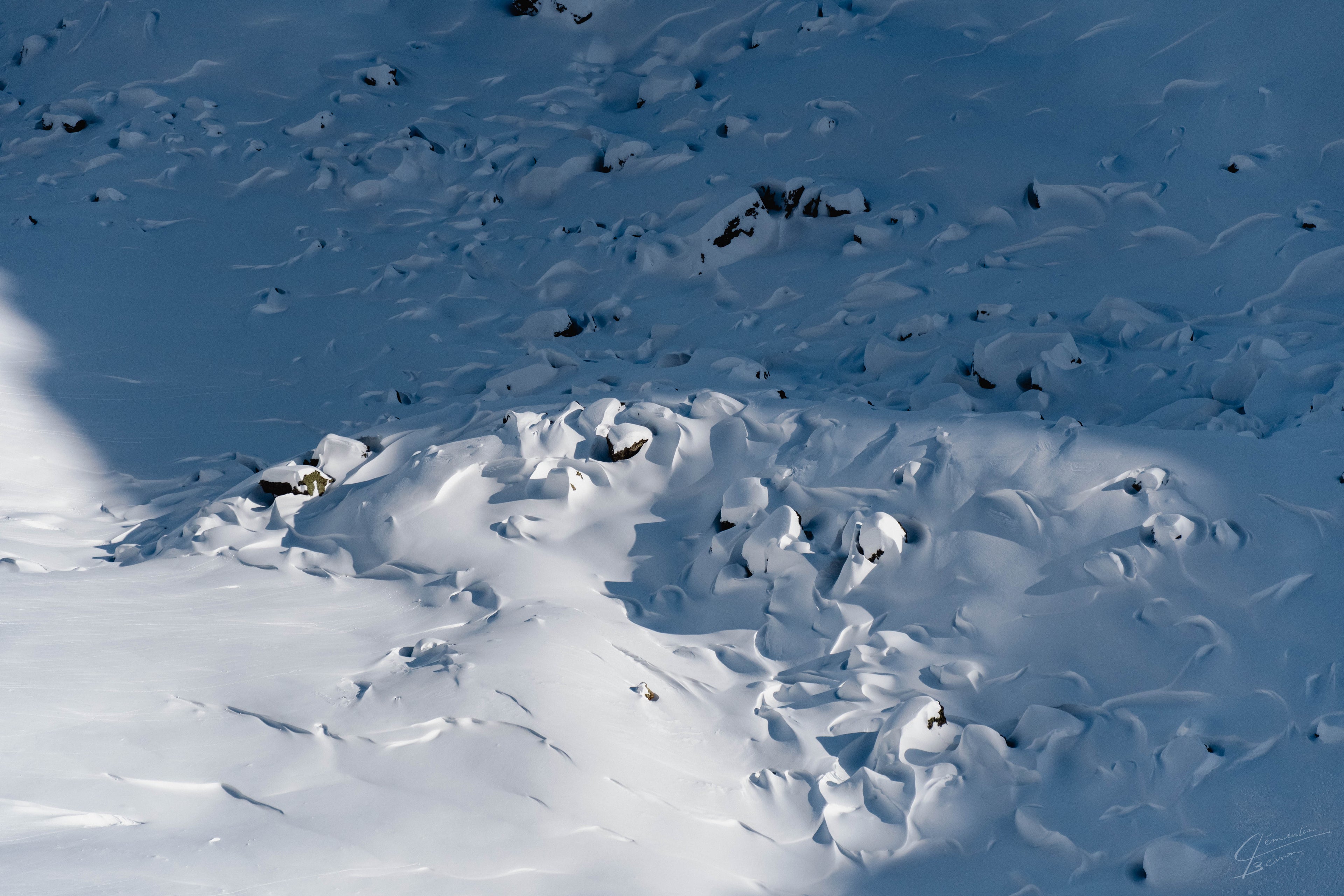 WILD - SÉRIE NATURE  60×40 CM