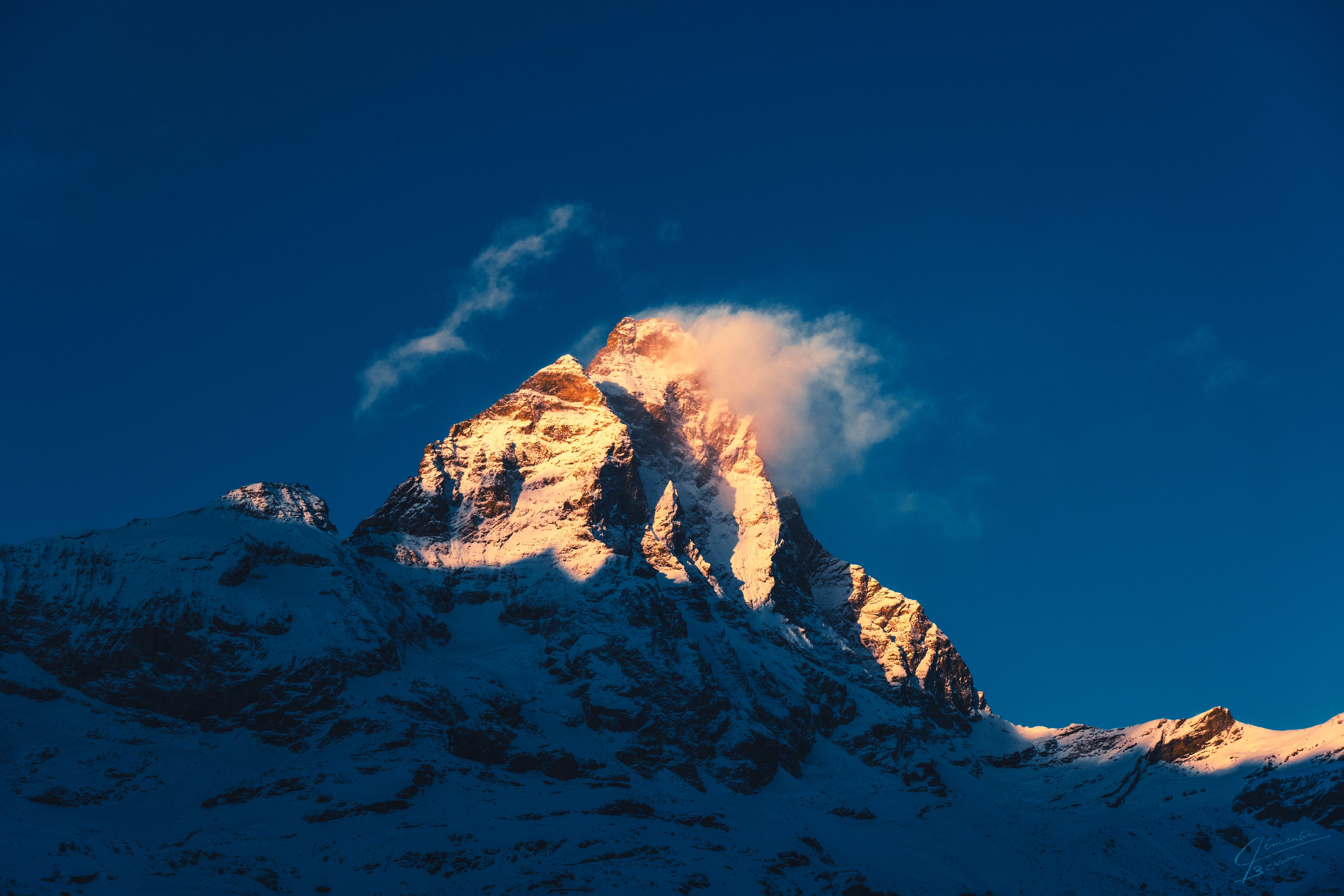 WILD - SÉRIE NATURE  60×40 CM