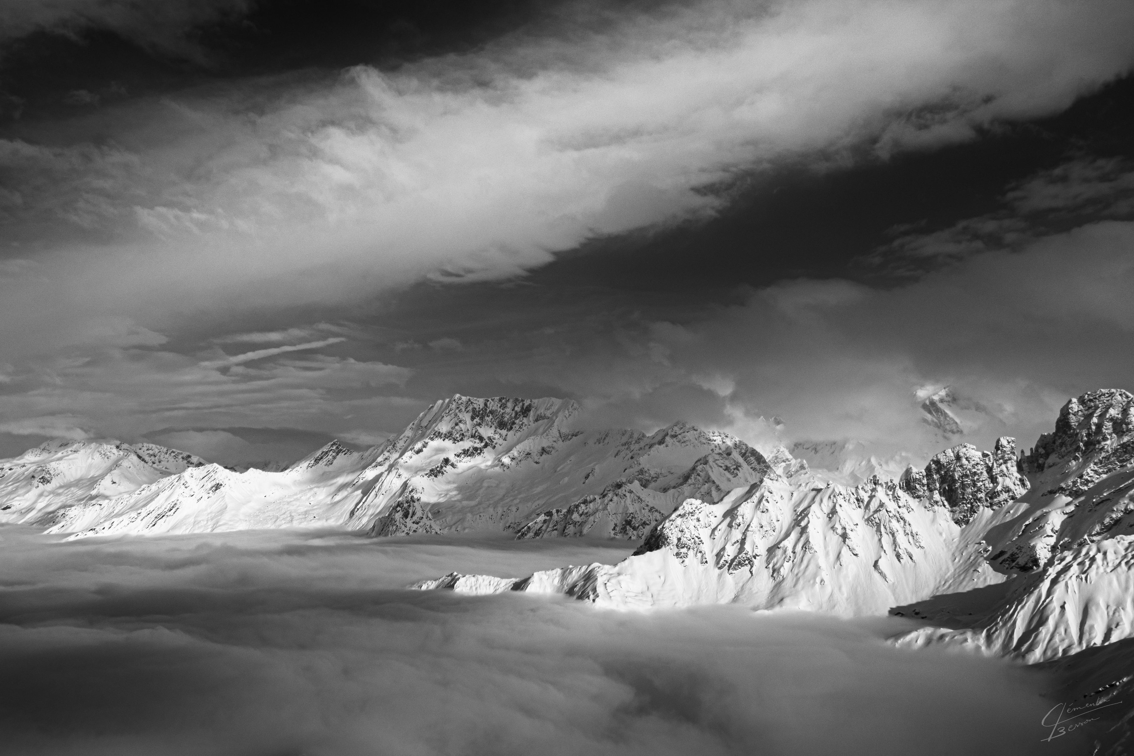 WILD - SÉRIE NATURE  60×40 CM